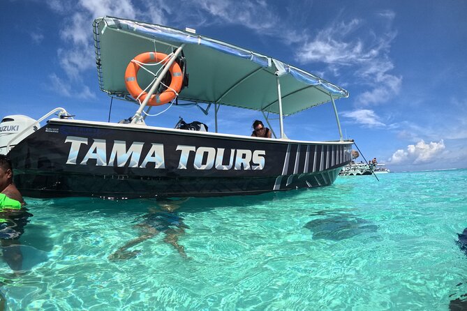 Lagoon Exploration and Snorkeling in Moorea - Should you book Lagoon Exploration and Snorkeling in Moorea?