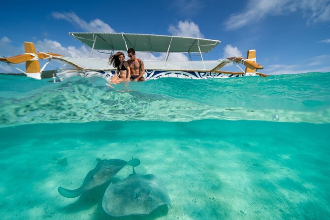 Lagoon Snorkeling Tour with Tahitian Oven Lunch in Bora Bora - A calm look at Bora Bora’s sharks