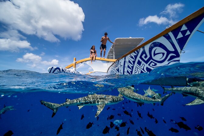 Lagoon Snorkeling Tour with Tahitian Oven Lunch in Bora Bora - Who will enjoy this most
