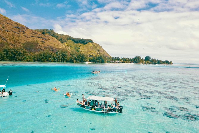 Lagoon Tour - Discover the magnificent lagoon of Moorea - Quick facts about the Moorea lagoon trip