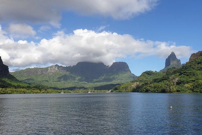 Lagoon Tour - Discover the magnificent lagoon of Moorea - Bays, dolphins, and the open sea