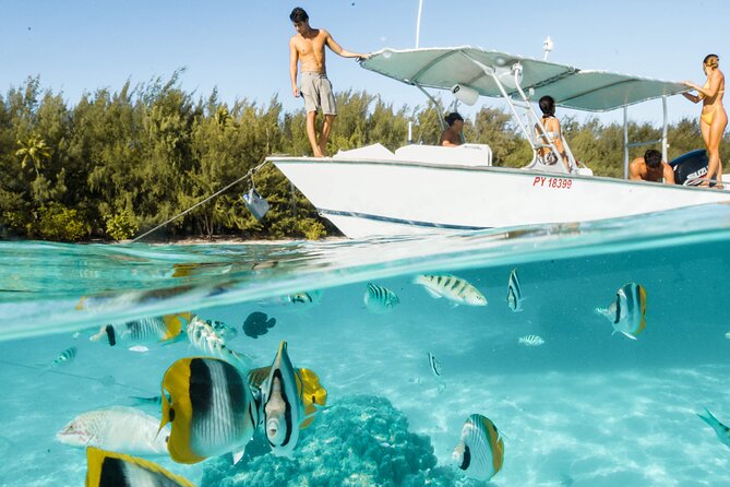 Lagoon Tour in Moorea in Small Group with Lunch - A Six-Person Boat Makes Moorea Feel More Personal