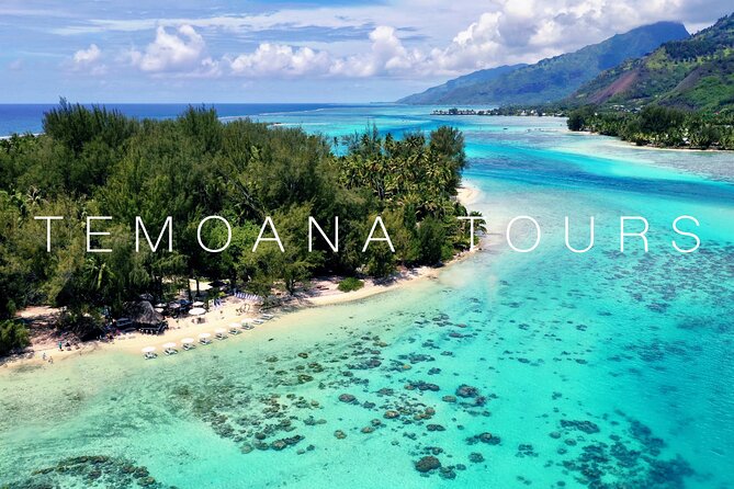 Lagoon Tour + lunch with your feet in the water on a Motu - Turtle snorkeling gives the day a different pace