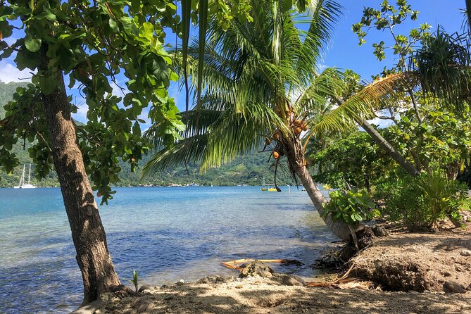 Land and Sea cultural tour to discover traditions, heritage and the lagoon - What the $173.69 price buys you
