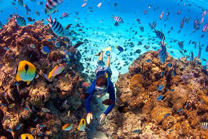 LUXURY Catamaran Bora Bora : Sailing, Snorkeling & Floating Bar - Crew service and the feel aboard Vitamin Sea