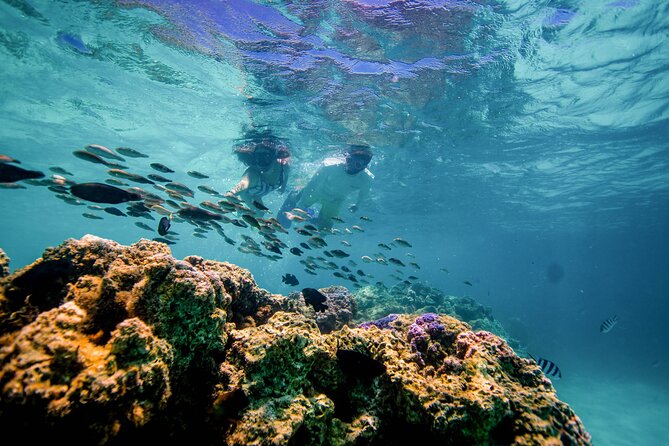 LUXURY PRIVATE Catamaran Bora Bora : Full-Day Trip - Practical planning for the morning