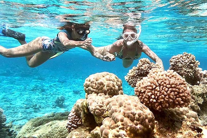 LUXURY PRIVATE Catamaran : Full-Day Sail & Polynesian Motu Lunch - Who will enjoy this catamaran most