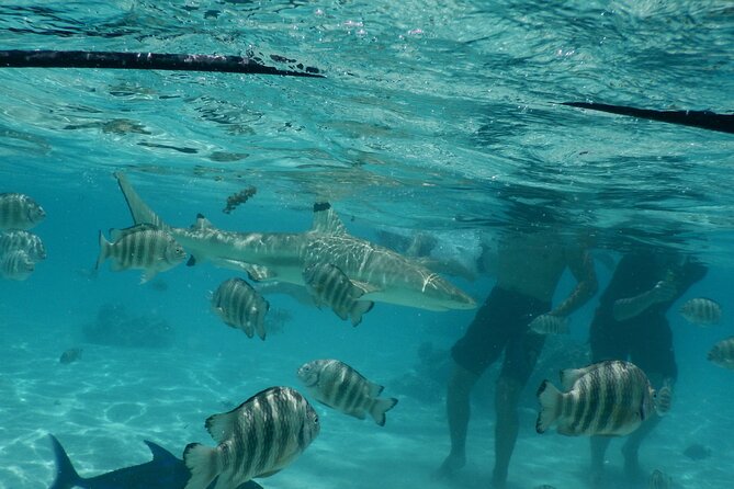 Medium Magical Combo in Moorea of 2 hours of Jetski and 3h30 of Quad - A full day from Moorea’s ridges to its lagoon