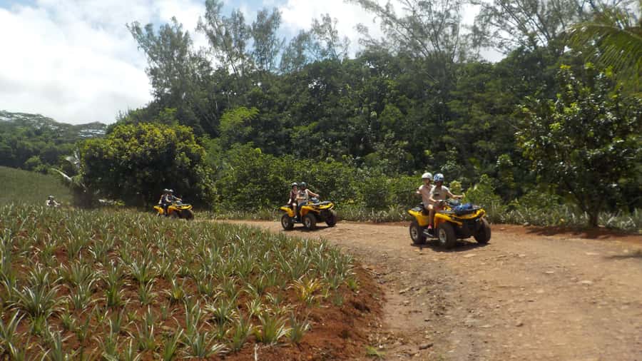 Mo'orea: Guided ATV Nature Tour - Why an ATV is a smart way to see inland Moorea