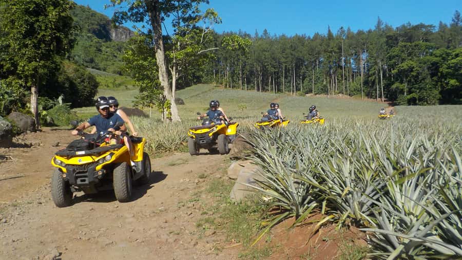 Mo'orea: Guided ATV Nature Tour - Belvedere brings the big Moorea views
