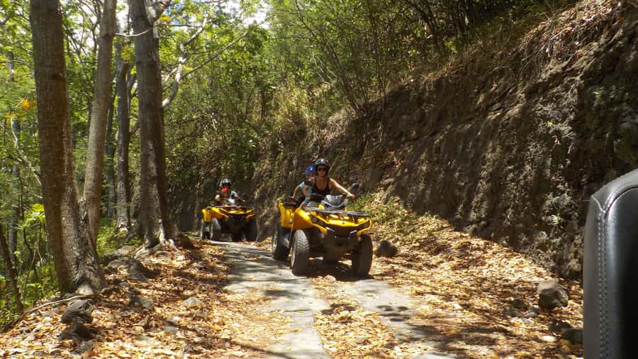 Mo'orea: Guided ATV Nature Tour - Rotui adds a taste of Moorea