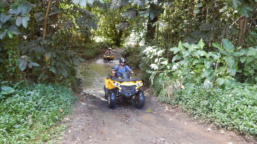 Mo'orea: Guided ATV Nature Tour - Setting out through plantations and pineapple fields
