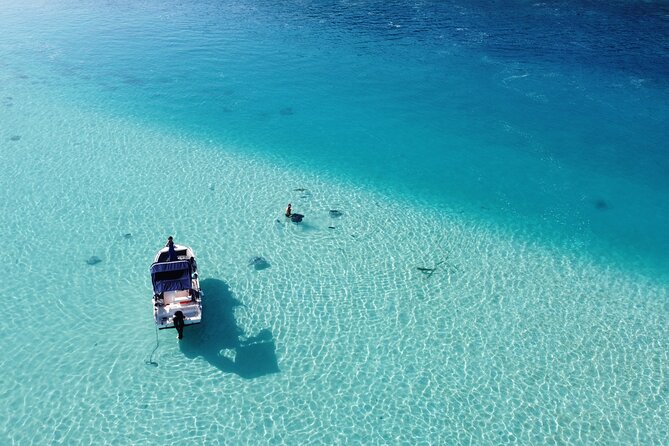 Mo'orea Half Day Private Tour with Snorkeling and Cruising the Lagoon - Dolphins, Surfers, Fruit, and Drinks
