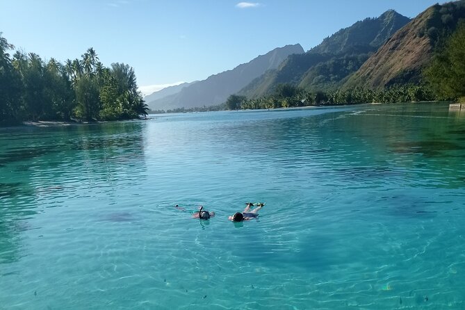Mo'orea Half Day Private Tour with Snorkeling and Cruising the Lagoon - What Alex Adds to the Experience
