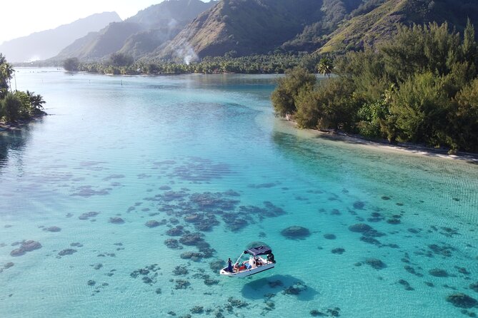 Mo'orea Half Day Private Tour with Snorkeling and Cruising the Lagoon - Is $668.05 a Fair Price?