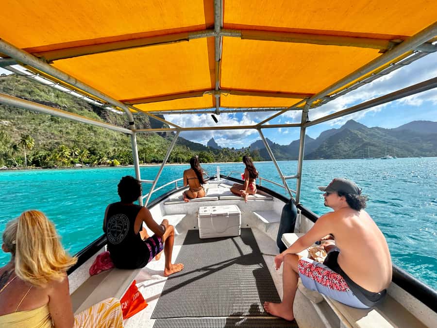 Moorea 4H Shared Boat Tour Whale Swimming and Snorkeling - A Four-Hour Moorea Trip Built Around the Whale Season