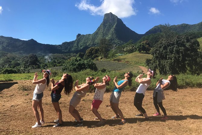 Moorea 4WD Tour Inc. Belvedere, Pineapple Farm, Magic Mountain... - Pineapple fields and Moorea’s working interior