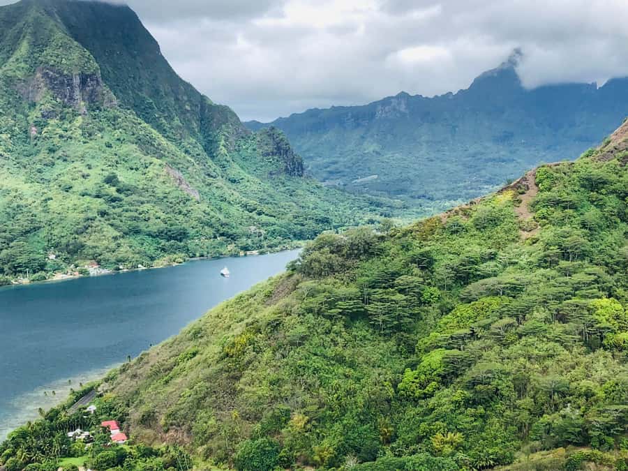 Moorea:4X4 safari excursion between land and sea with lunch - Fruit tasting and the Rotui stop