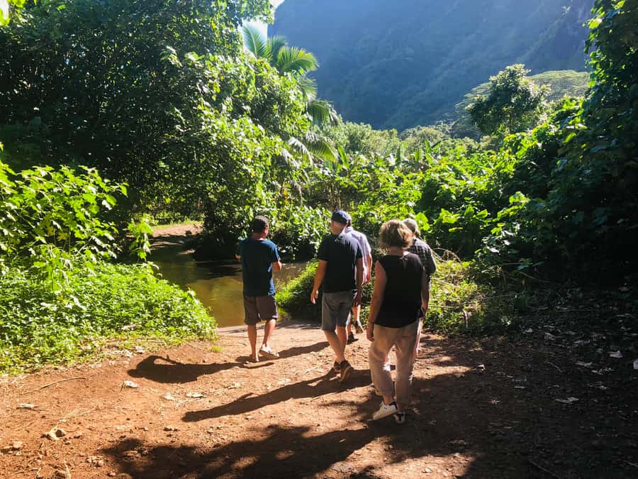 Moorea:4X4 safari excursion between land and sea with lunch - Turquoise water and the final beach stop