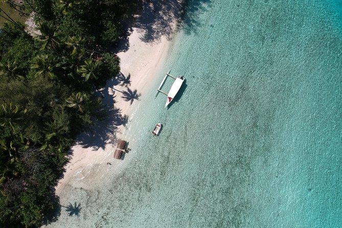 Moorea 6-Hour Snorkeling and Lunch Shared Tour - What the $138.55 price covers