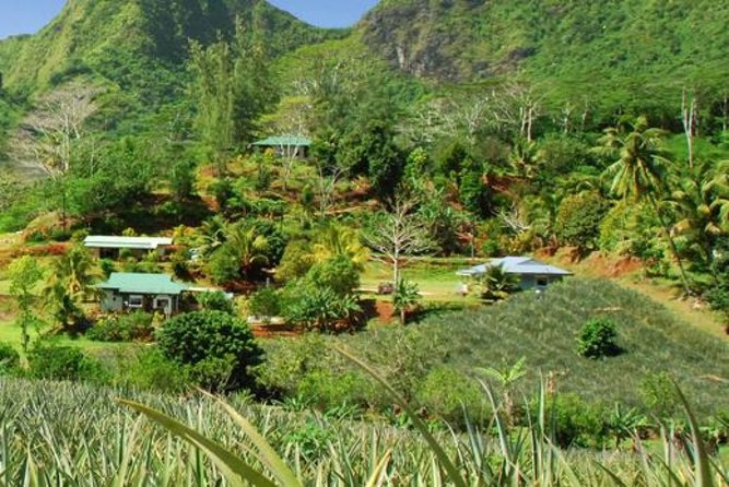 Moorea Aito 4WD Safari Tour - Half day - Belvedere Lookout and Moorea’s twin bays