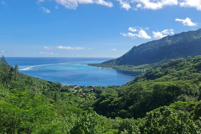 Moorea Aito 4WD Safari Tour - Half day - Magical Mountain and the steep private road