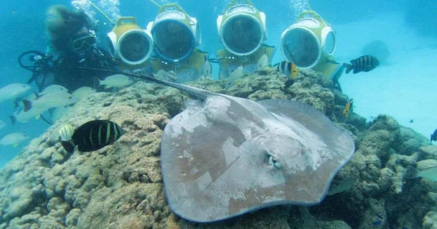 Moorea: Aquablue Helmet Underwater Walking Experience - From pickup to the Intercontinental Moorea Resort