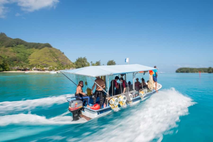 Moorea: Aquablue Helmet Underwater Walking Experience - Getting used to the helmet underwater
