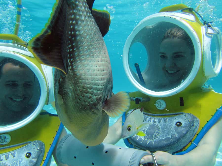 Moorea: Aquablue Helmet Underwater Walking Experience - Safety, comfort, and physical limits