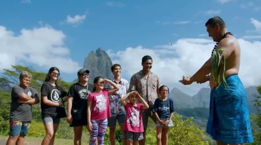 Moorea Cruise Ships: 4x4, Belvedere,Magic Mountain pineaple - Pineapple fields and the taste of Moorea