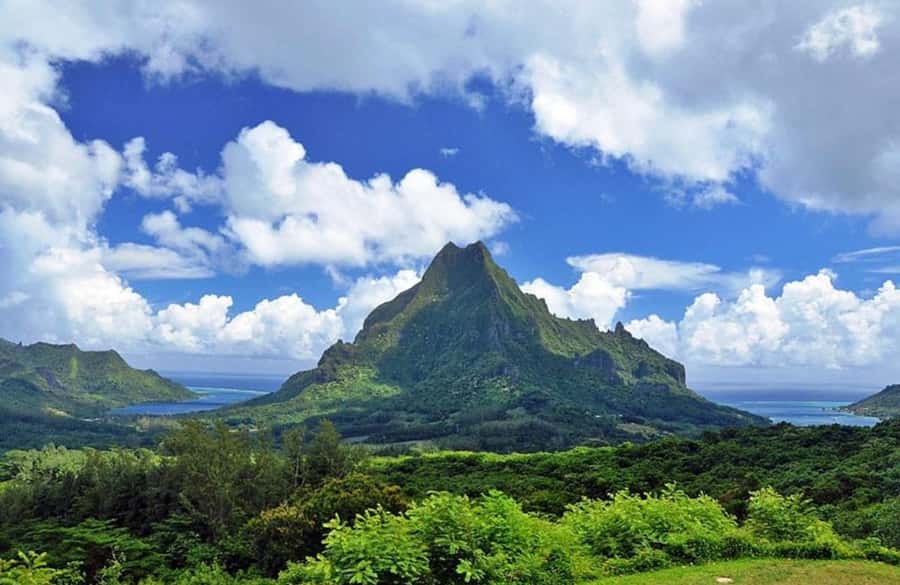 Moorea Cruise Ships: 4x4, Belvedere,Magic Mountain pineaple - Volcano crater and the ancient marae