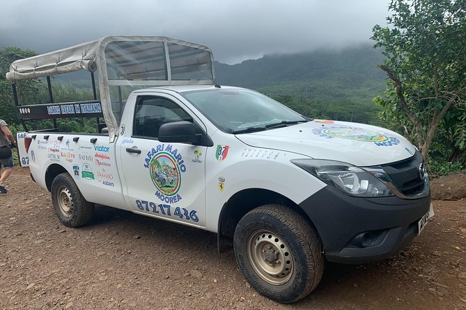 Moorea Cruise Ships: 4x4, Belvedere, Pineapple, & Magic Mountain - Pineapple fields show Moorea’s working side