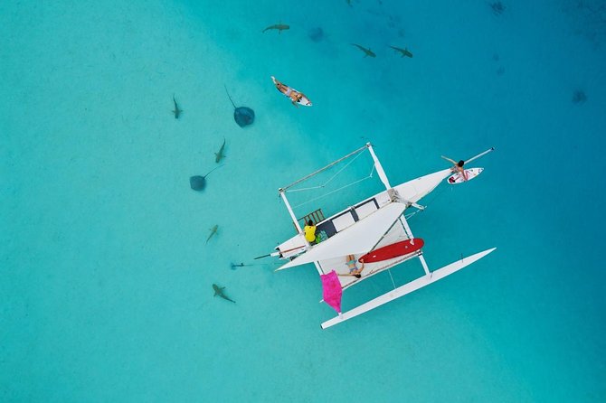 Moorea Discovery Half-day Sailing - Key things to know before you book