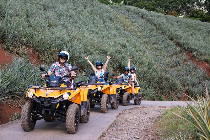 Moorea Explorer Atv Quad Tour - Why an ATV is a good way to see Moorea