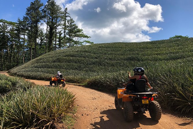 Moorea Explorer Atv Quad Tour - What the ride feels like in practice