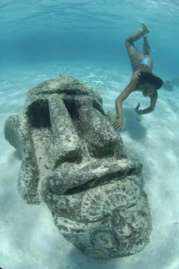 Moorea: Glass Bottom Boat Adventure with Lagoon Wonders - Lunch on the family’s private motu
