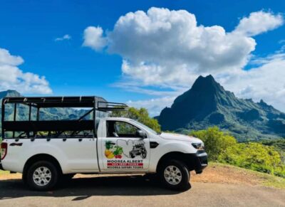 Half-Day Open-Air 4WD Safari with Hotel Transfers