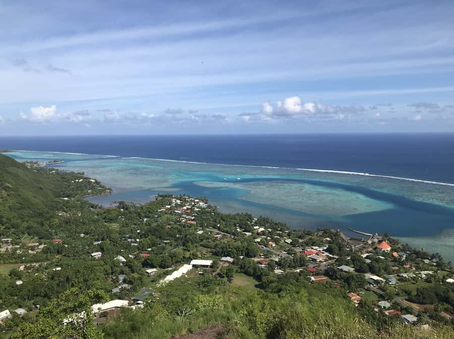 Moorea: Half-Day Open-Air 4WD Safari with Hotel Transfers - Pineapple products, juice, jam, and the tasting stop