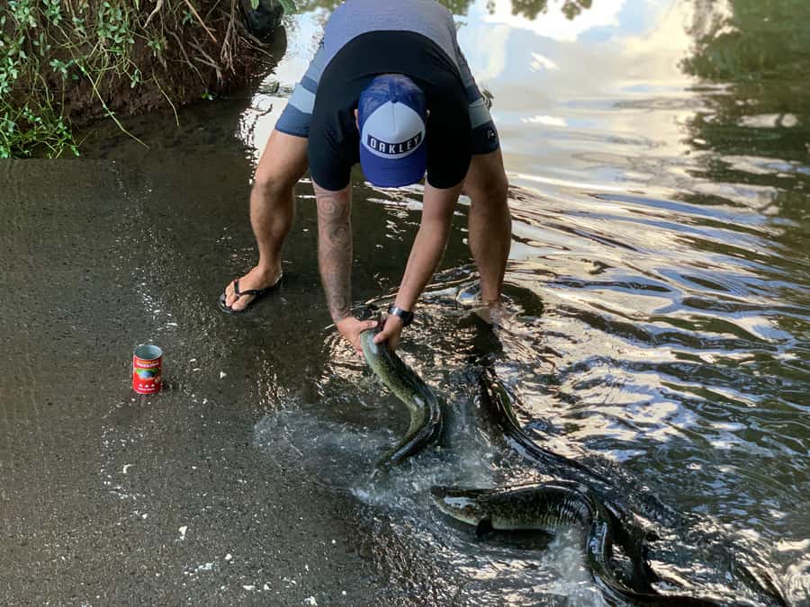Moorea: Half-Day Open-Air 4WD Safari with Hotel Transfers - The special Cook’s Bay photo stop