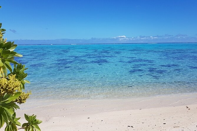 Moorea Highlights Private Tour: Natural and Cultural Attraction - Belvedere Lookout Sits Between Two Bays