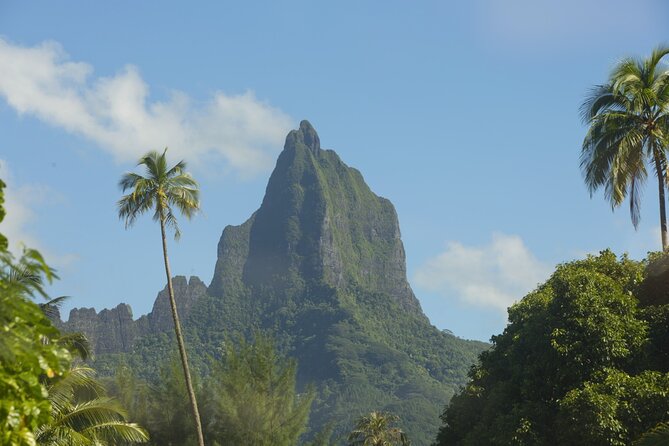 Moorea Highlights Private Tour: Natural and Cultural Attraction - Toatea Lookout Starts With Moorea’s Classic View