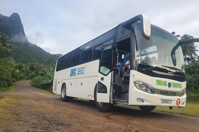 Moorea Island Tour - Why this half-day tour works on Moorea