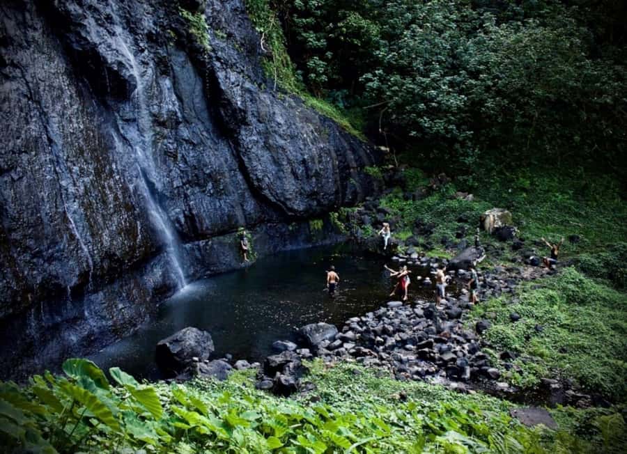 Moorea: Island Tour with Waterfall Hike and Lunch - Key points at a glance