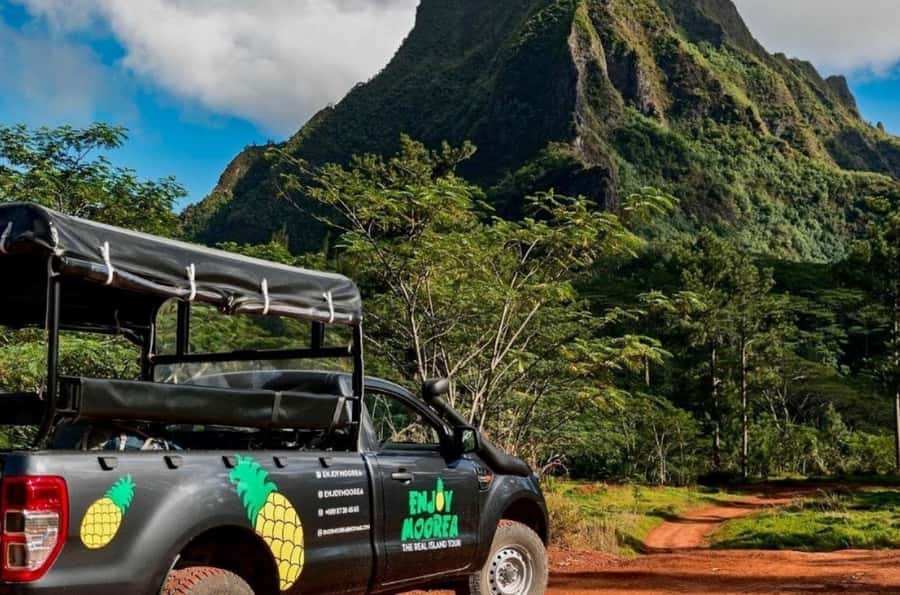Moorea: Island Tour with Waterfall Hike and Lunch - Pineapple fields reveal Moorea’s working side