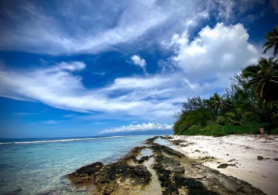 Moorea: Island Tour with Waterfall Hike and Lunch - What the $147 price includes