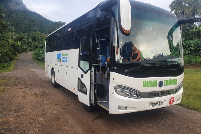 Moorea Island Tour - The road to Belvedere lookout