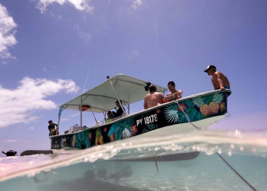 Moorea: Lagoon and Reef Snorkeling Tour with Drinks - Why the small group matters