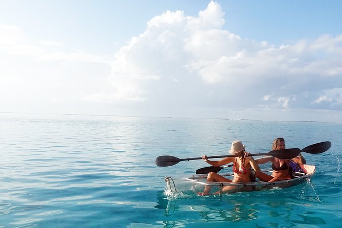 Moorea Lagoon Tour by Transparent Kayak - Why this Moorea lagoon trip works so well