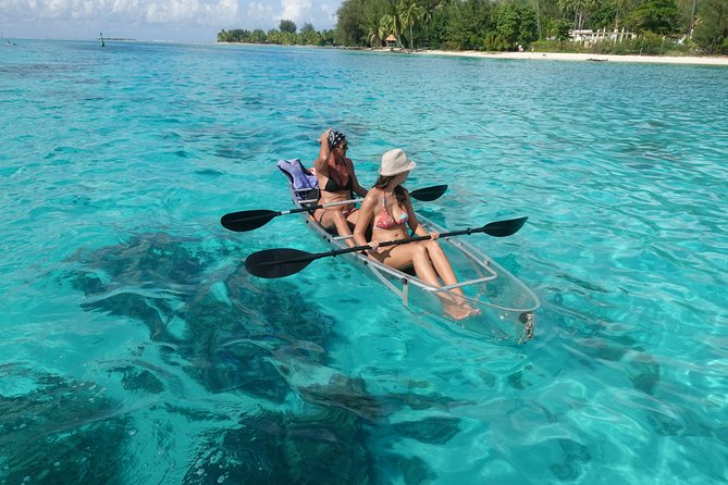 Moorea Lagoon Tour by Transparent Kayak - Local stories from Hugo, Christel and the guide team