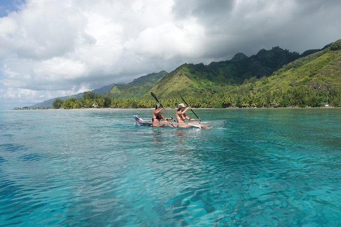 Moorea Lagoon Tour by Transparent Kayak - Who should book this two-hour outing?